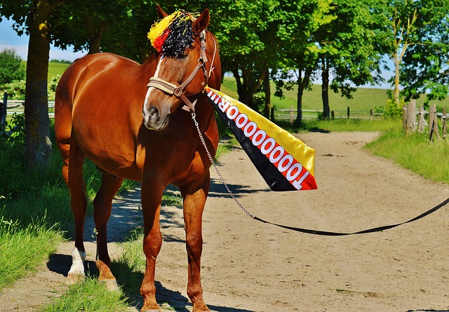 还是那座象 还是那座象