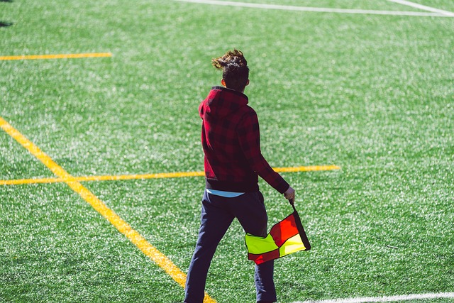 格林在赛季 格林在赛季