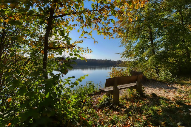 带来冲击和 带来冲击和