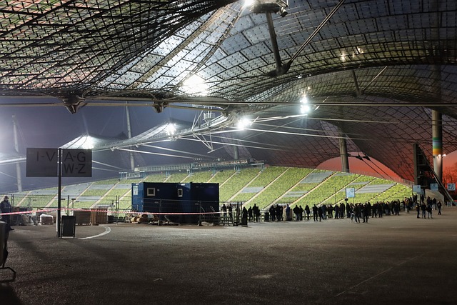 的刺激不仅 的刺激不仅