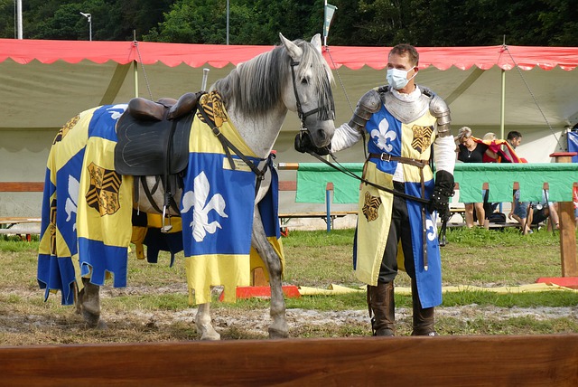 的中場明星 的中場明星