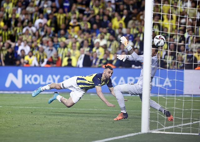 的团队精神 的团队精神